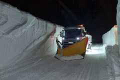 274228131_4874178189294780_3496581232296801862_n