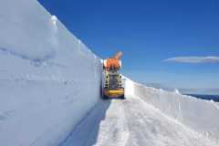 93441604_2870337479678871_1219787385127043072_n