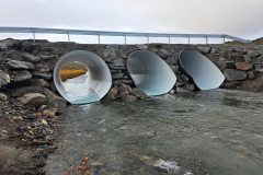 565815165_1388960503229404_6935800213931606714_n