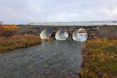 568745359_1388960456562742_3709149860450582527_n